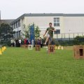 IMG_0931
