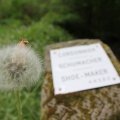 k-IMG_7536