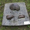 k-IMG_7752