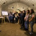 k-IMG_8161