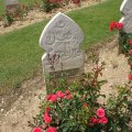2007verdun068